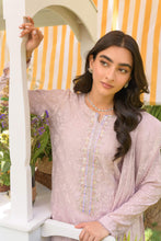 Shavi