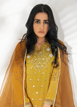 Mustard and Brown